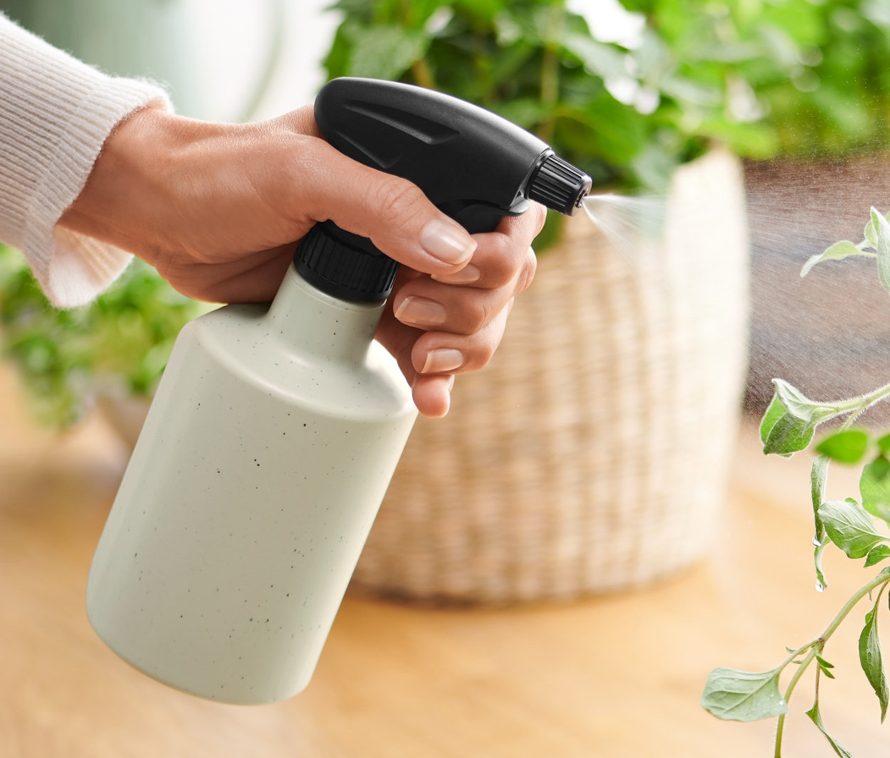 Kadın bitki sulama spreyi ile bitkiyi suluyor.