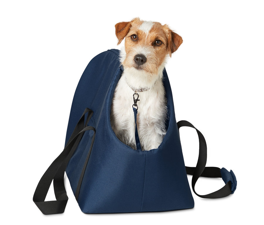 Köpek, mavi evcil hayvan taşıma çantasında oturuyor.