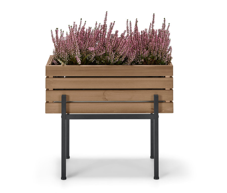 Mor çiçekli »Elin« kutu saksı.