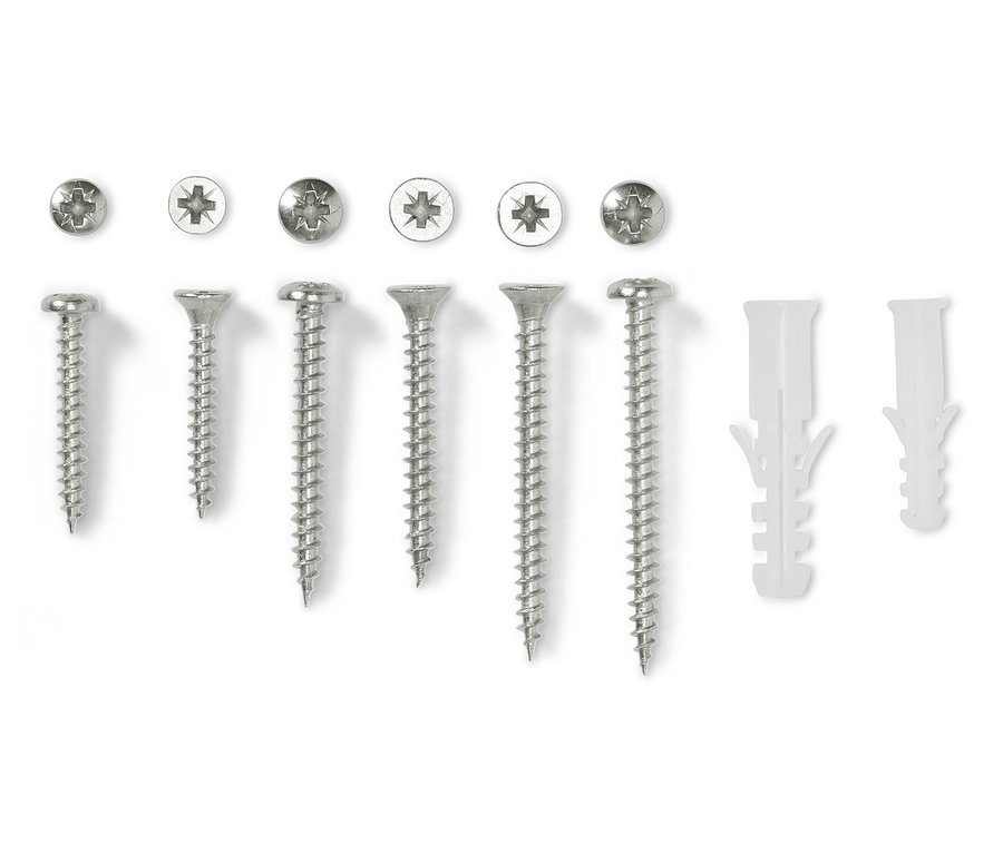 Beyaz arka planda vida ve dübel seti.