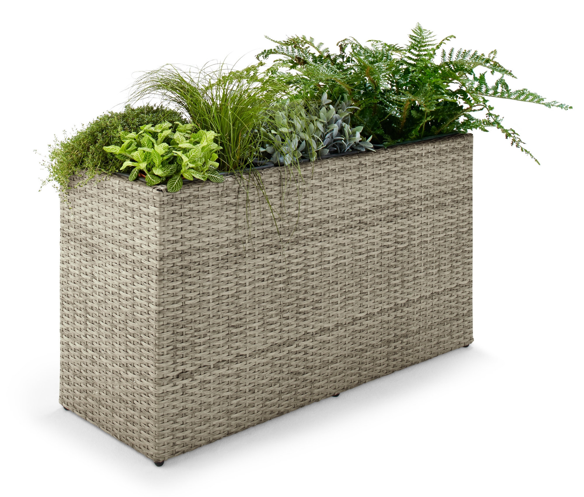 Bitkilerle dolu bir saksı.