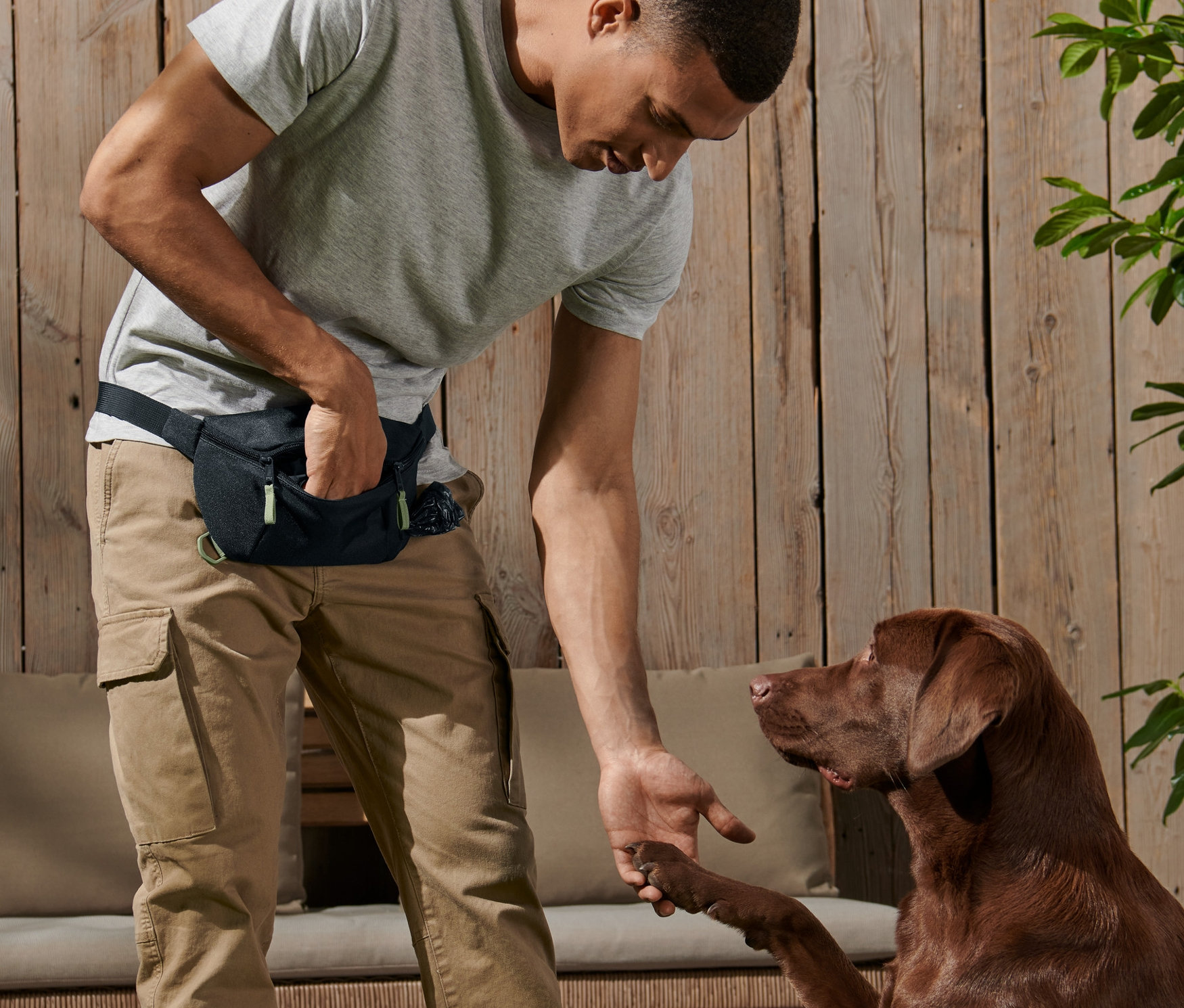 Adam kahverengi bir Labrador'a patisini veriyor; Köpek Yürüyüş Çantası takıyor.