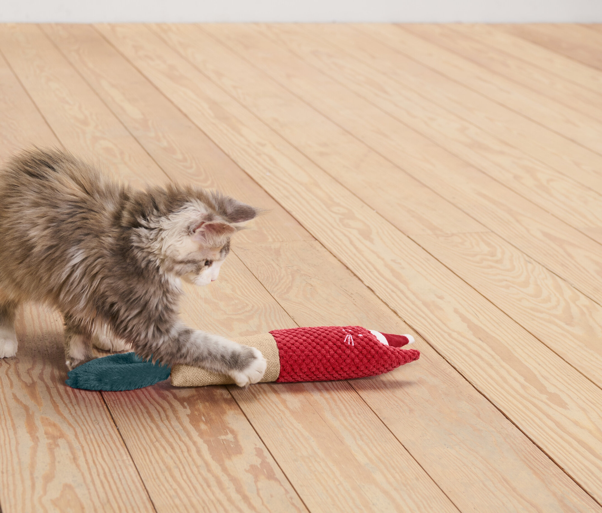 Kedi yavrusu ahşap zeminde kırmızı bir oyuncakla oynuyor.