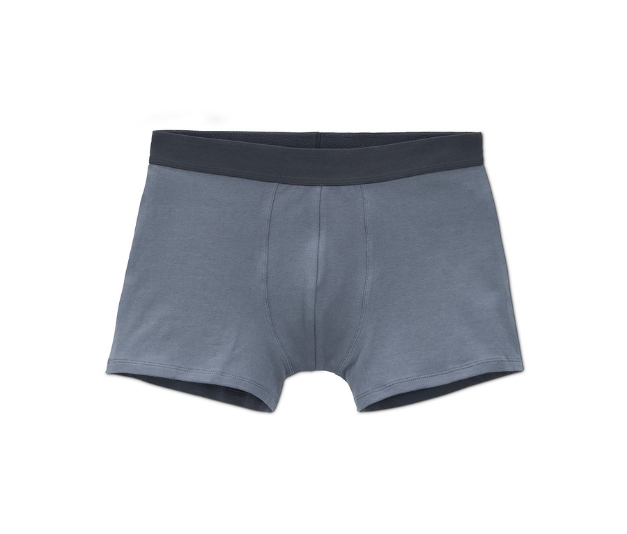 Tek bir mavi renkli 2 Adet Organik Pamuklu Slip Boxer.
