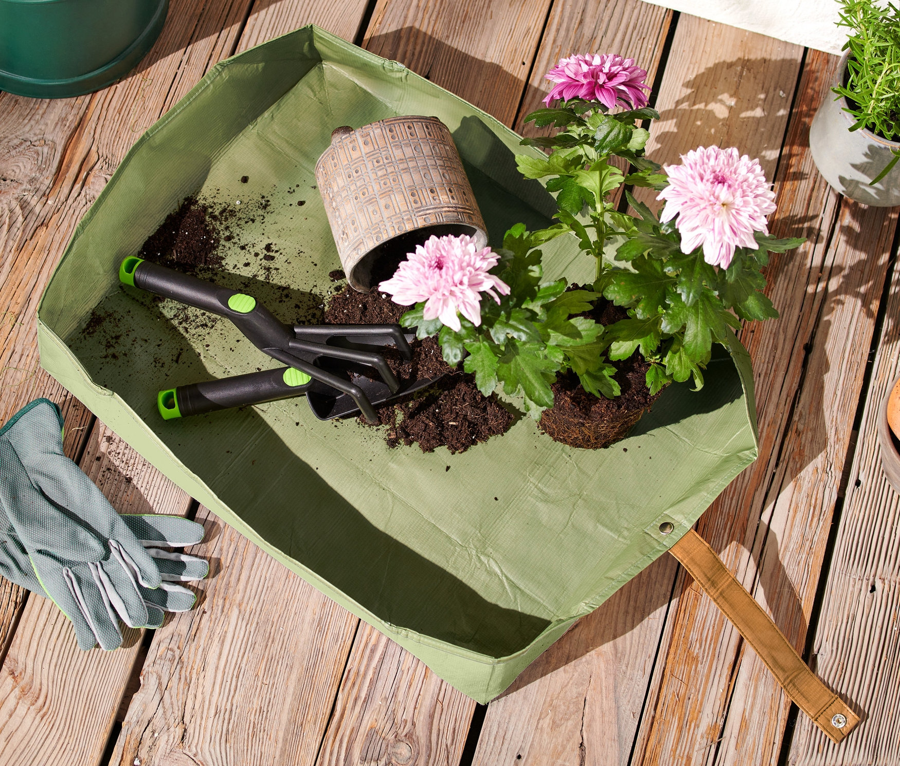 Ahşap bir zeminde çiçekler, toprak ve bahçe aletleri ile birlikte yeşil bir bitki matı bulunmaktadır. Arka planda bir sulama kabı ve çiçek saksıları görülmektedir.