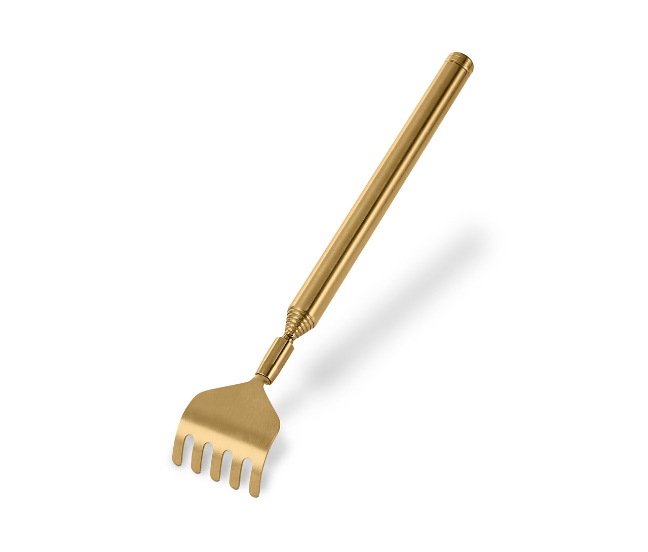 Altın sırt kaşıyıcı.