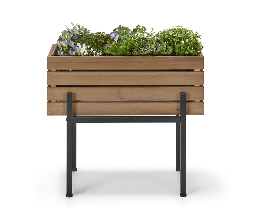 Bitkilerle birlikte »Elin« Kutu Saksı.