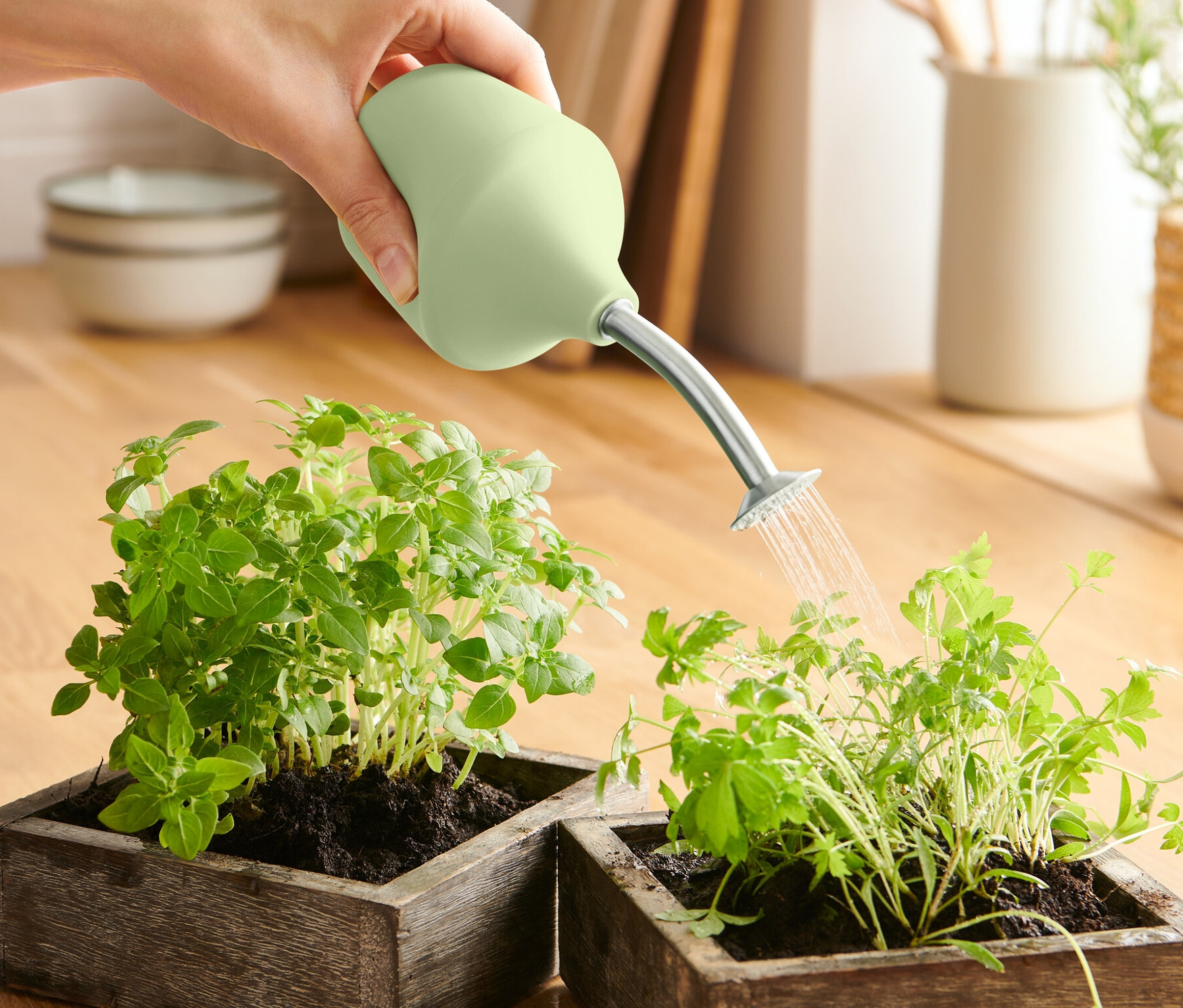 Bir el, ahşap saksılardaki iki bitkiyi Yetiştiriciler İçin Sulama Kabı ile suluyor.