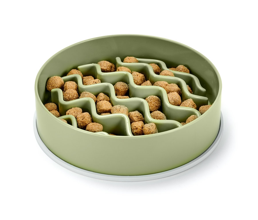 Mama dolu yeşil yavaş yeme kabı.