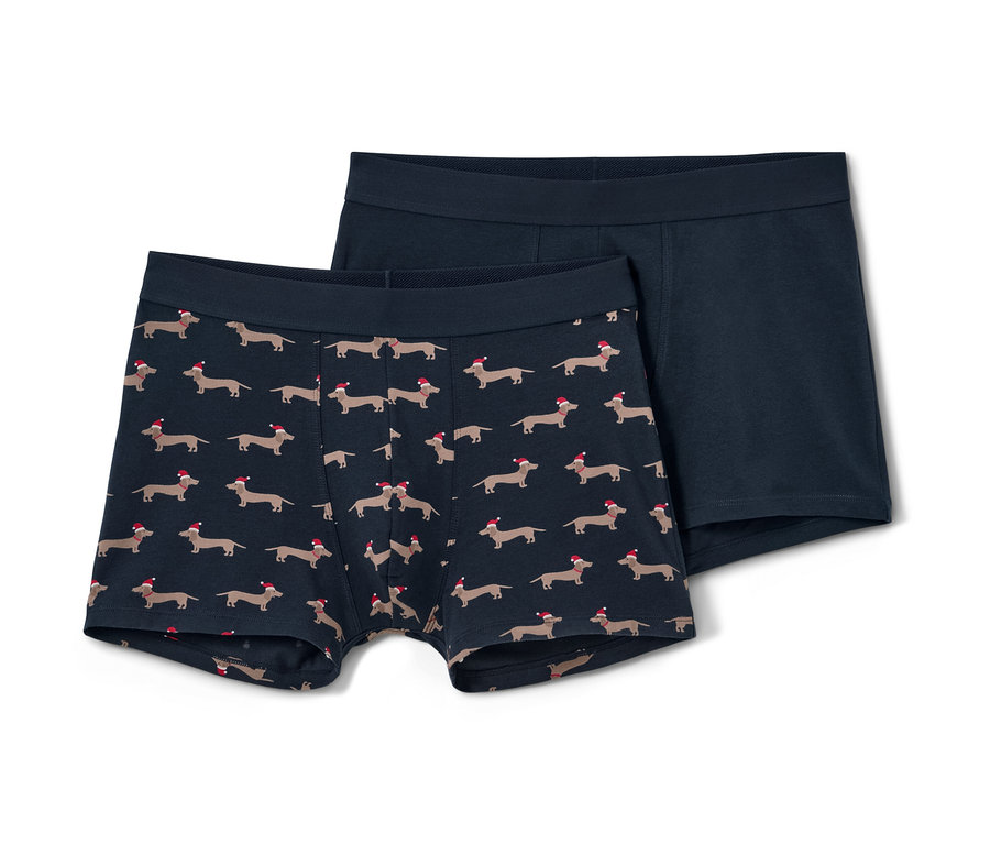 İki adet slip boxer, biri sosis köpek desenli, diğeri mavi. 