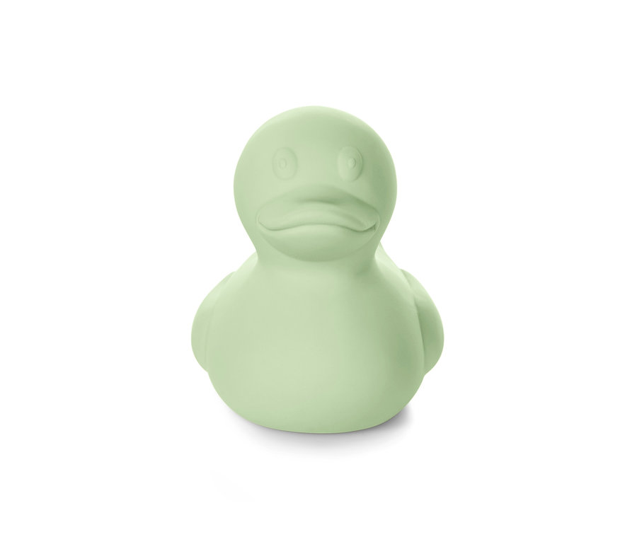 Yeşil renkli küçük bir oyuncak ördek.