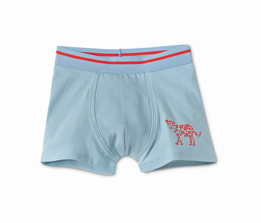 Açık mavi, kırmızı bantlı ve kırmızı çita desenli slip boxer.