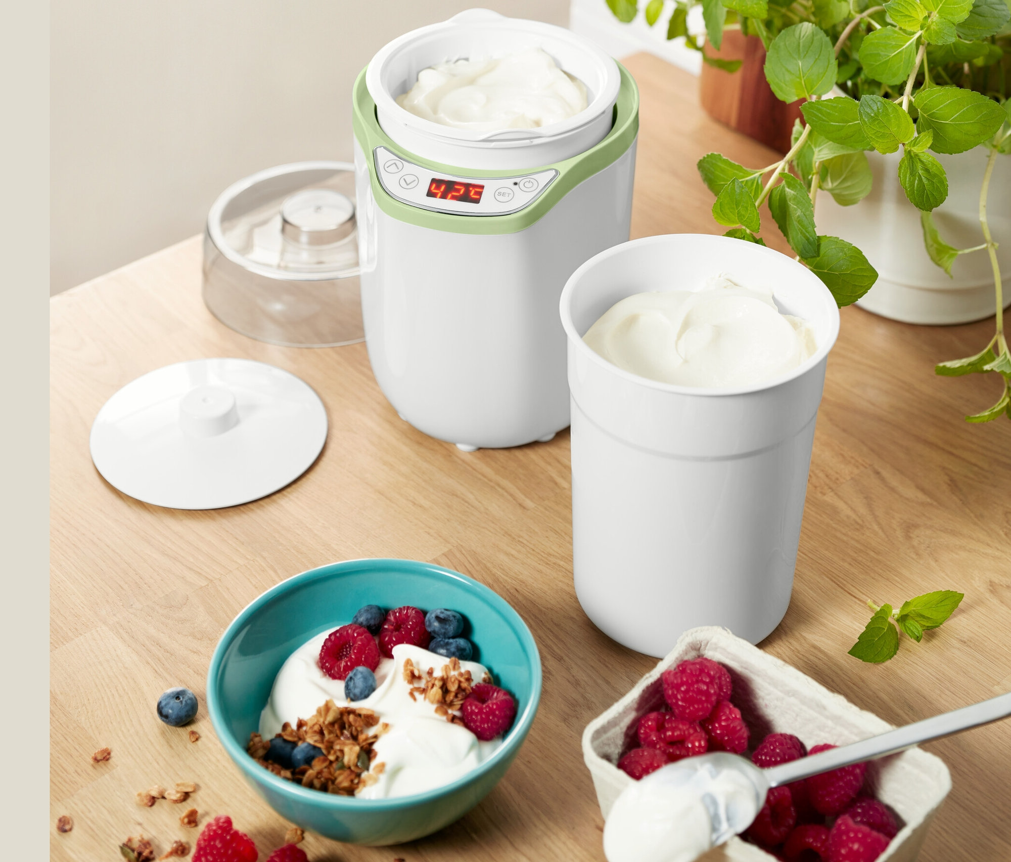 Yoğurt ve Krem Peynir Makinesi, bir kasede yaban mersini ve ahududu ile yoğurtlu.