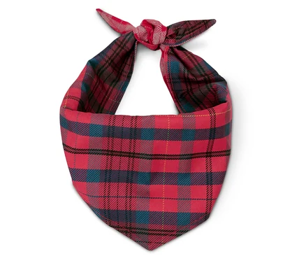 Üstte düğümü olan kırmızı kareli bandana.