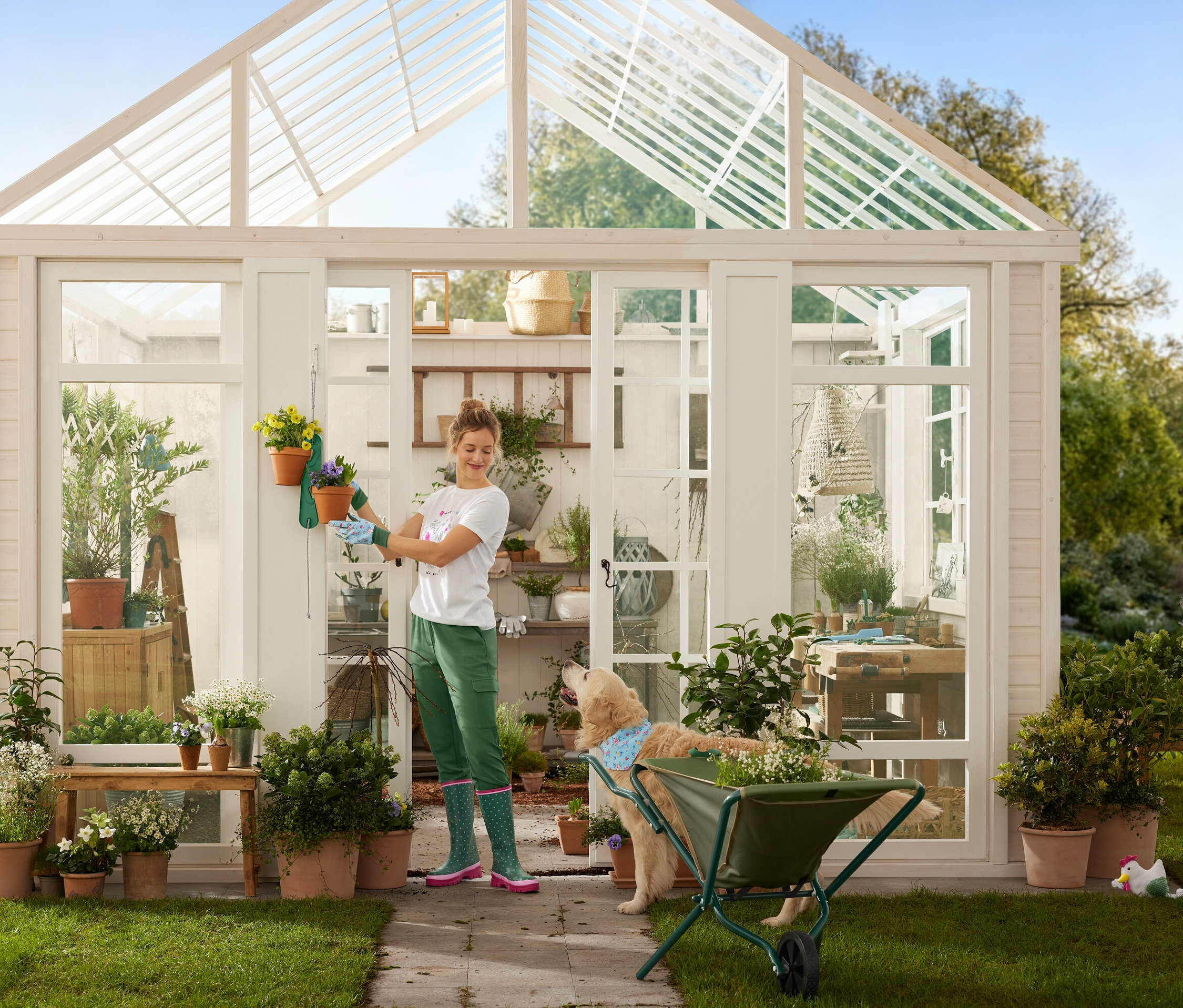 Bahçıvan eldivenli bir kadın, bir köpek el arabasının yanında dururken bir seraya saksılar asıyor.