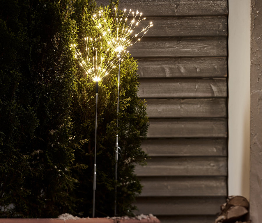 İki adet büyük LED'li bahçe meşalesi, bir saksıdaki mazı ağacının yanında parlıyor.