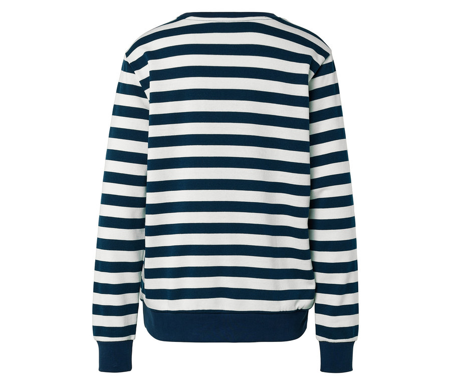 Mavi ve beyaz çizgili uzun kollu bir sweatshirt'ün arka görünümü.