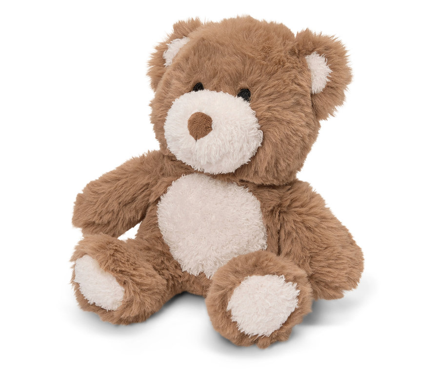 Kahverengi bir oyuncak ayı beyaz bir arka planda oturuyor.