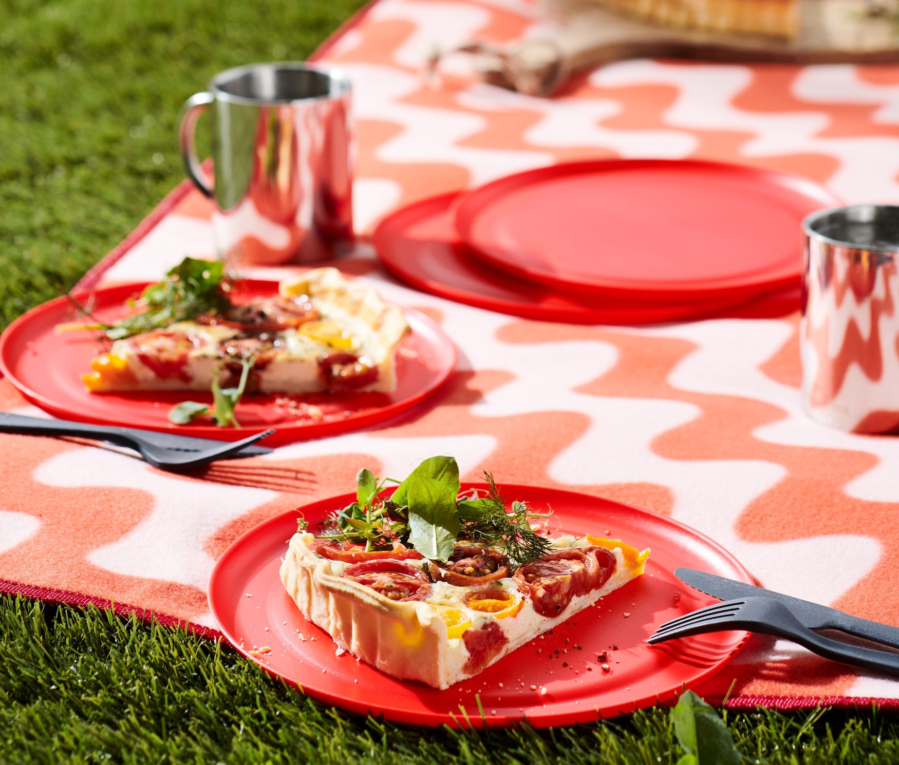 Çimenlerin üzerinde dalgalı desenli bir örtü var. Örtü üzerinde yemekli 4 adet piknik tabağı, iki bardak ve çatal bıçak takımı bulunmaktadır. Arka planda bir sırt çantası ve başka yiyecekler var.