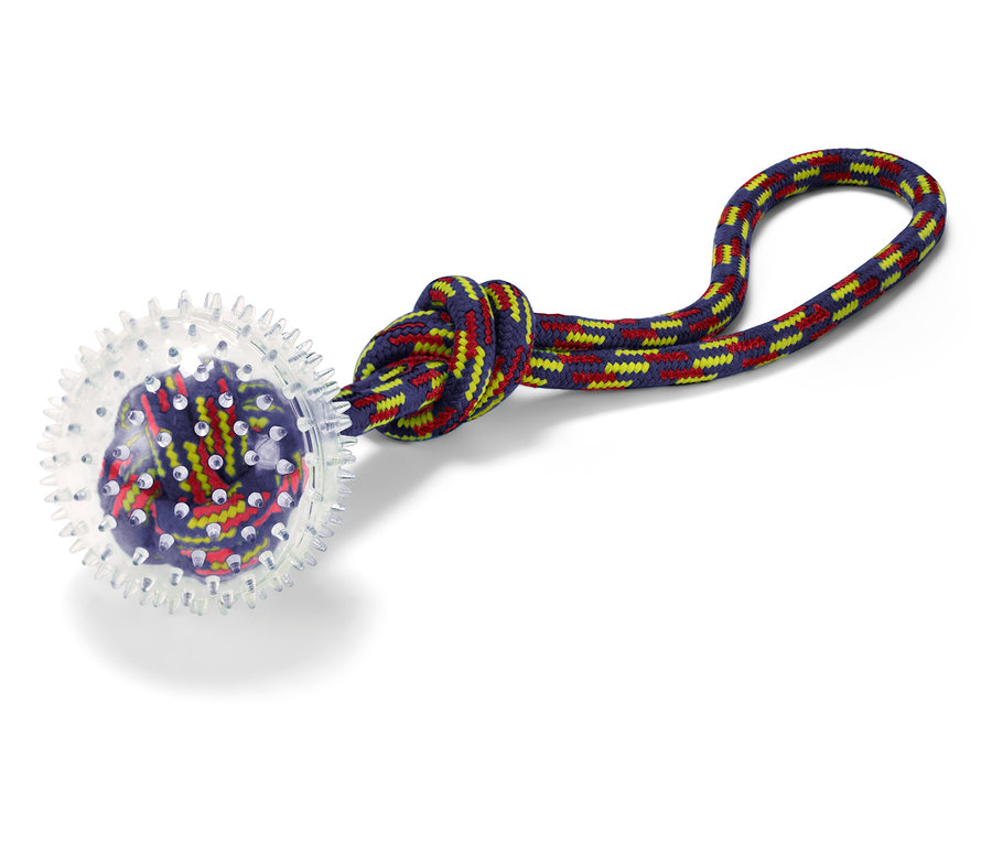 Şeffaf topu ve renkli ipi olan köpek oyuncağı.