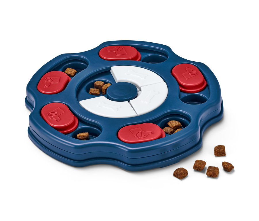 Mavi tepsili, kırmızı sürgülü ve beyaz kemikli, ikramlarla dolu Köpek Zeka Oyuncağı.