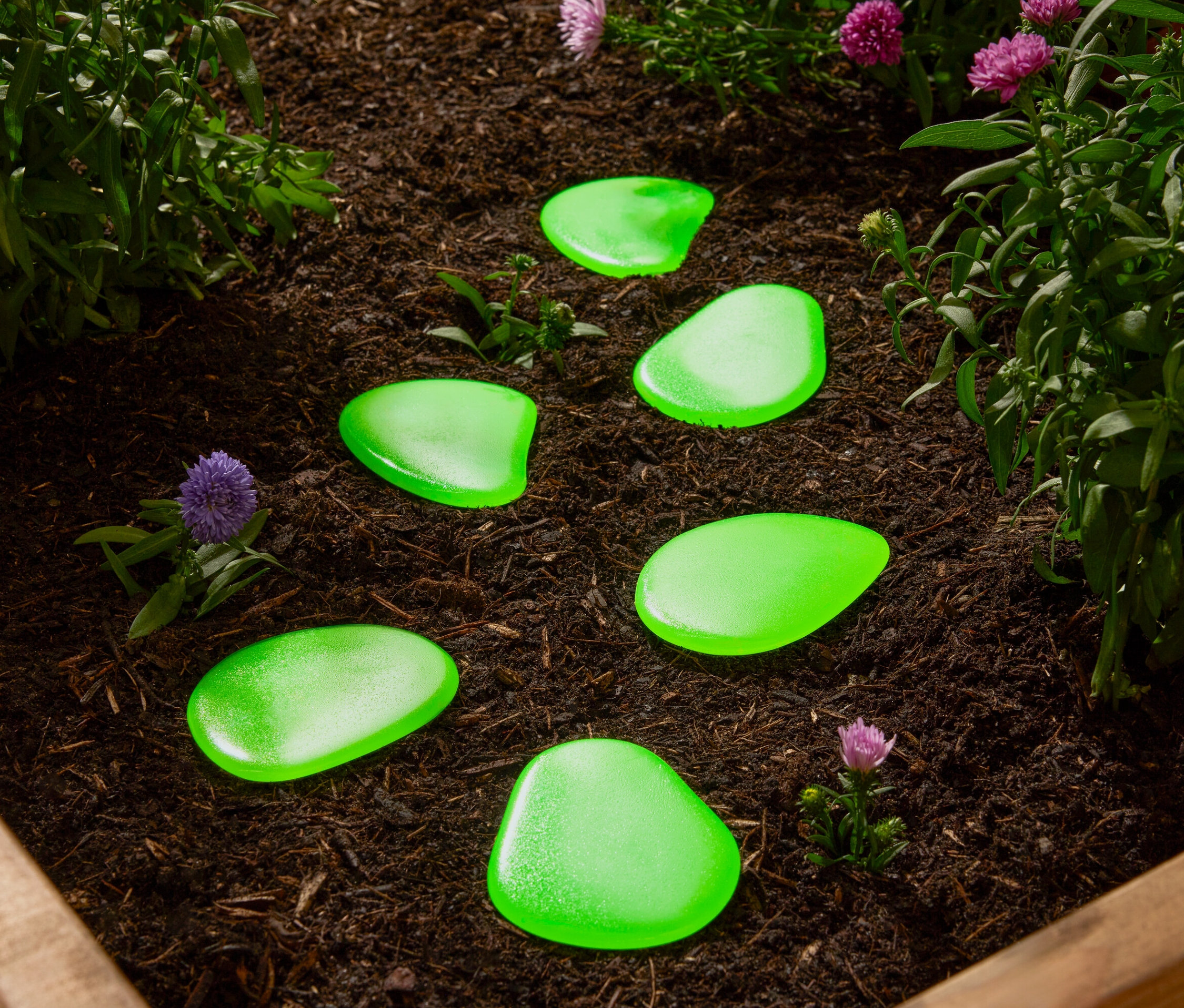 Yeşil dekoratif taşlar, bitkiler arasında toprakta duruyor.