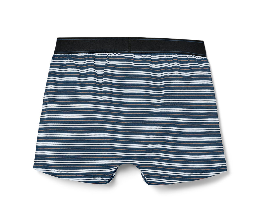 2 Adet Çizgili Slip Boxer