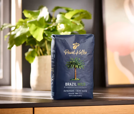 Tahta bir yüzeyde duran 500g'lık Privat Kaffee Brazil Mild çekirdek kahve paketi. Arka planda saksıda bir bitki ve soyut bir tablo bulunuyor.