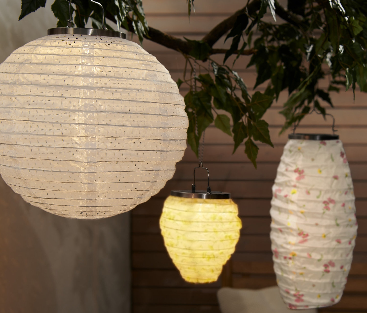 Bir küre şeklinde ve iki oval olmak üzere üç adet solar fener bir ağaç dalında asılı duruyor.