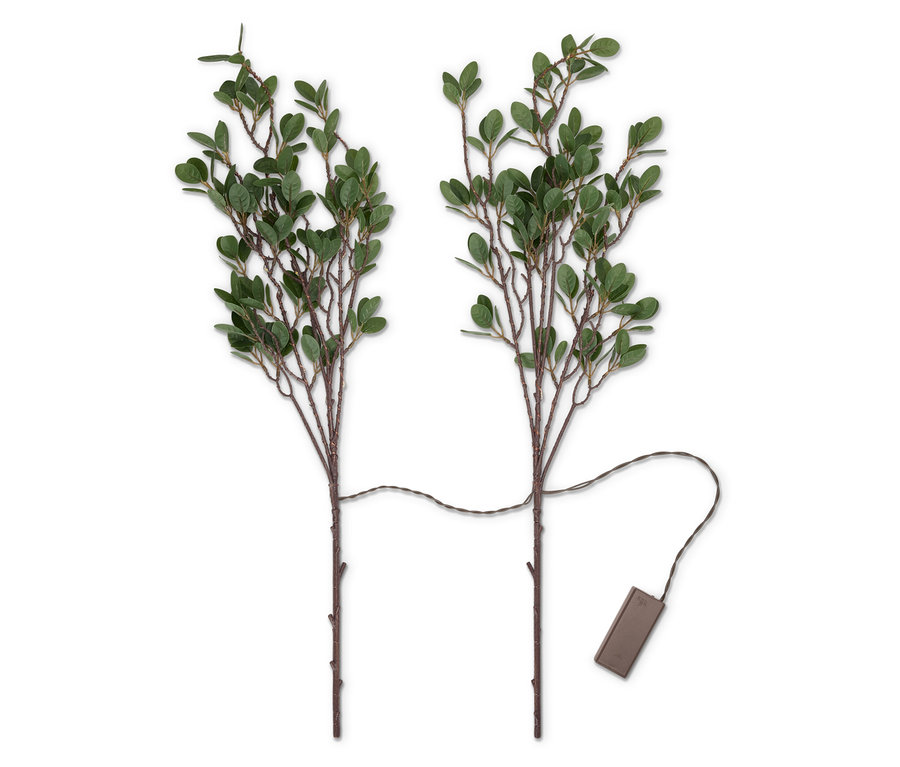 Küçük yeşil yapraklı iki dal, bir kabloyla pil kutusuna bağlanmış.