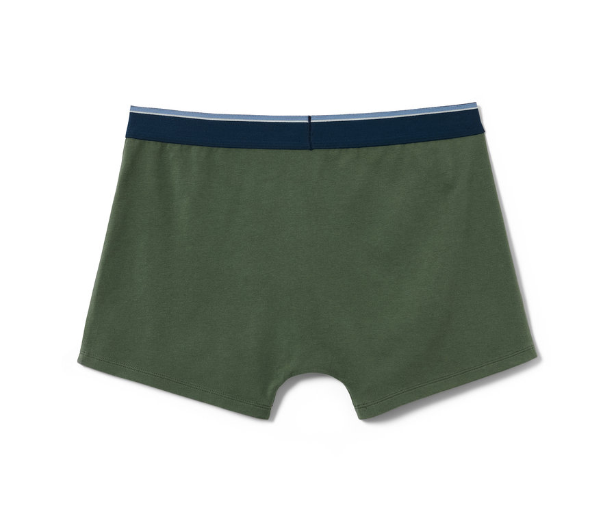 Mavi ve zeytin yeşili slip boxer.