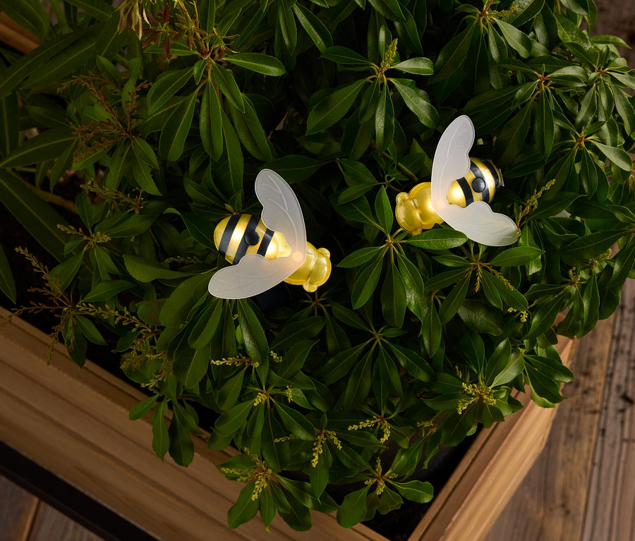 Ahşap bir kutuda yeşil yaprakların ortasında yarı saydam kanatlı iki sarı ve siyah çizgili arı.