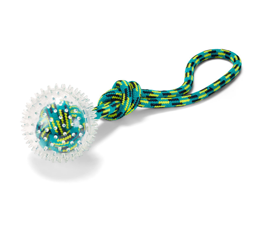 Şeffaf topu ve mavi-yeşil halat sapı olan köpek oyuncağı.