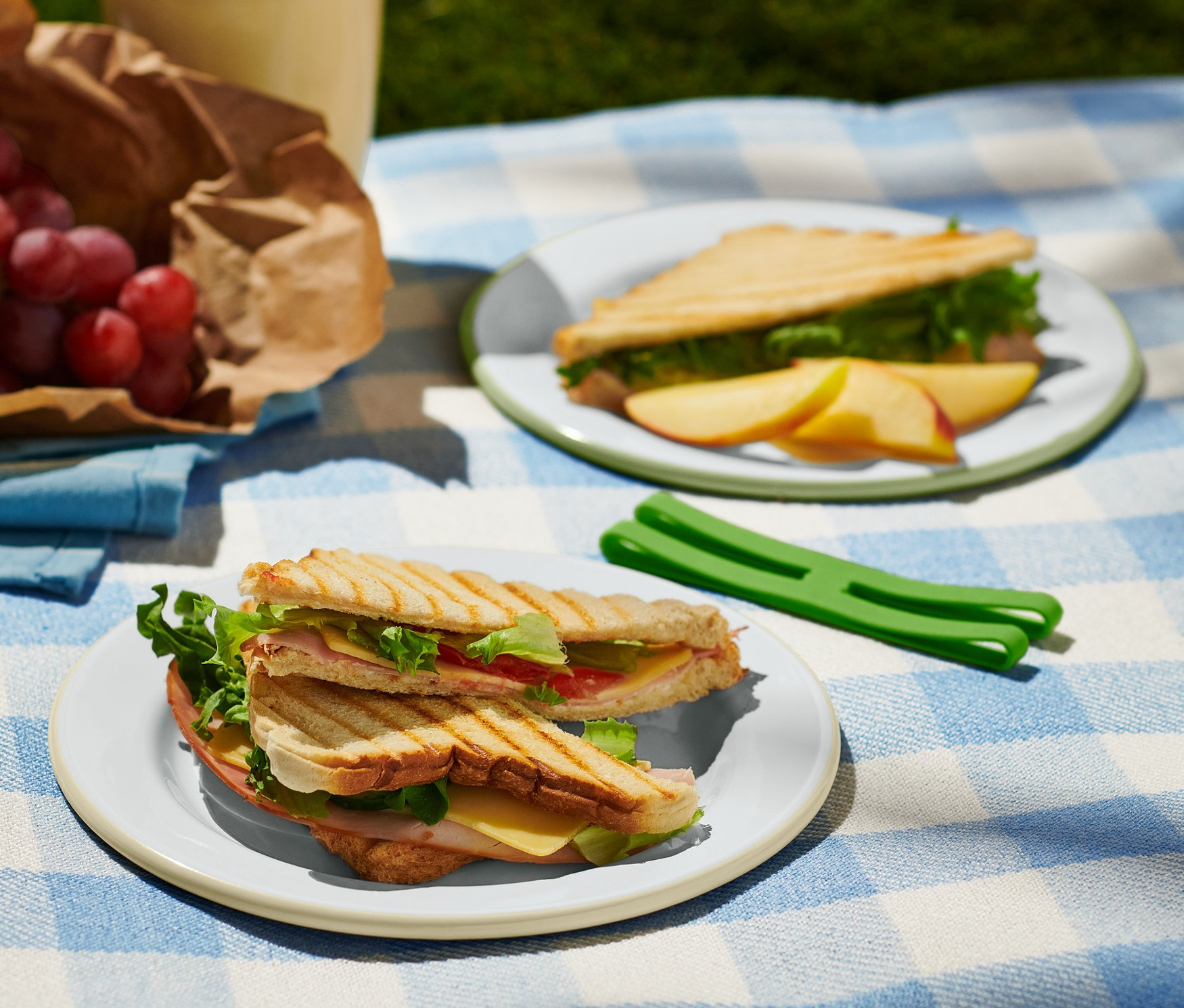 Mavi beyaz kareli bir örtü üzerinde tostlu iki adet Piknik Tabağı, 2'li Set, kağıt torbada üzümler ve bir içecek bulunmaktadır.