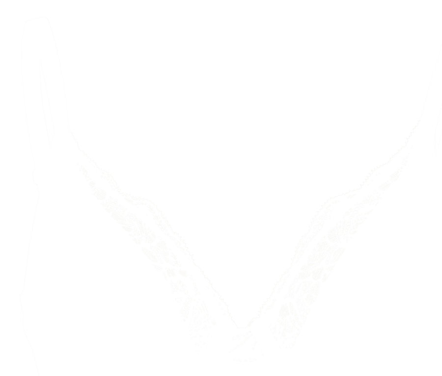 Krem rengi balenli sütyen