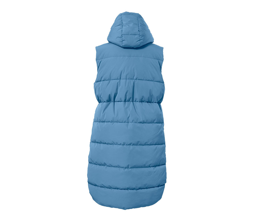 Arkadan görünümü kapüşonlu mavi kapitone yelek.