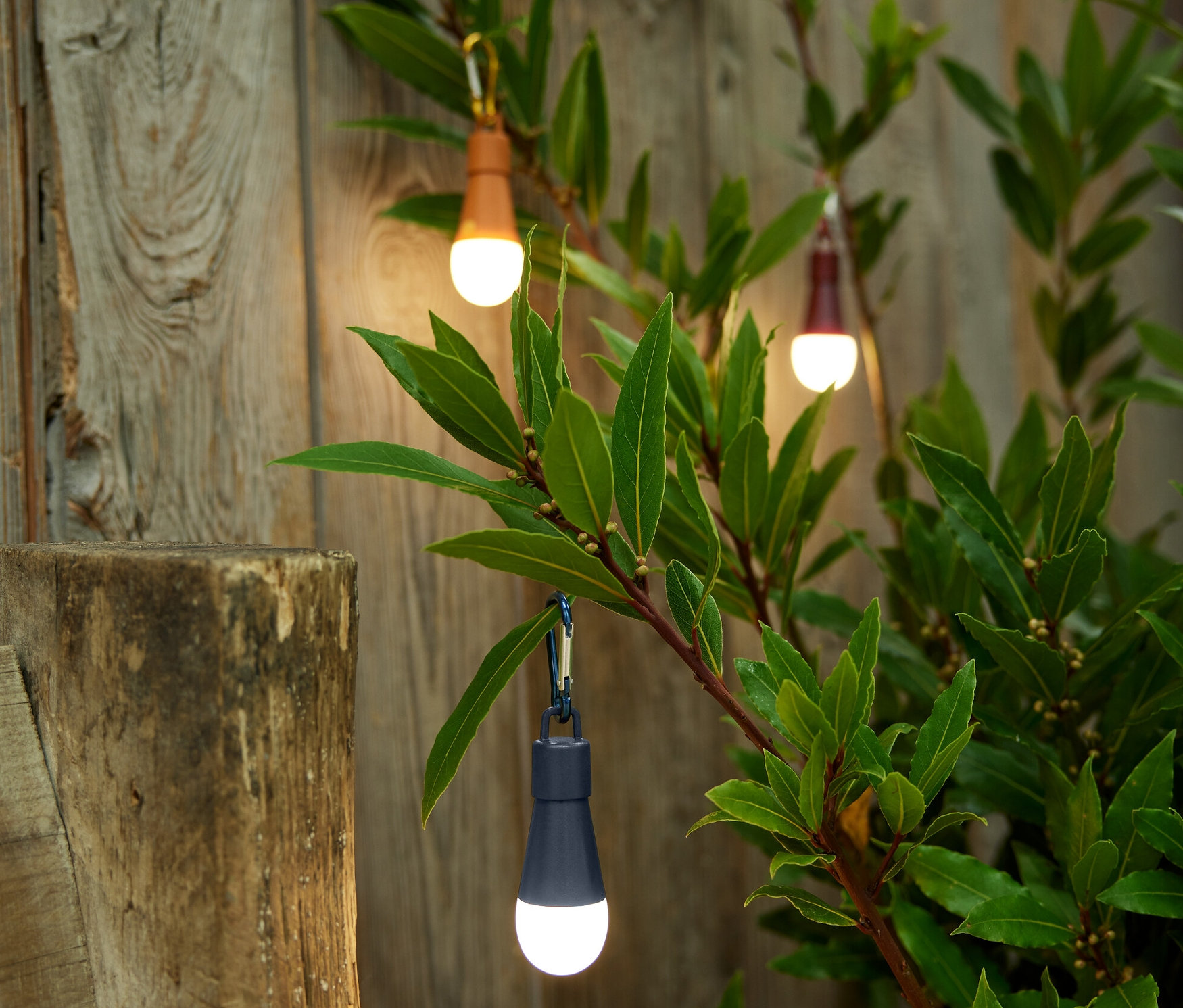 Üç adet dekoratif LED lamba, ahşap bir çitin önünde bir çalının dallarında asılı duruyor.