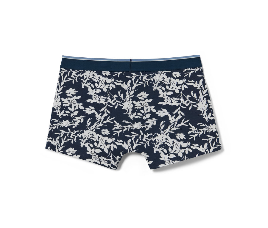 Yaprak desenli mavi 2'li slip boxer.