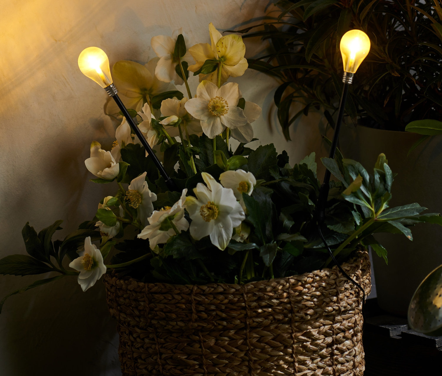 Beyaz çiçekli bir sepet ve 2 adet LED Işık Çubuğu.