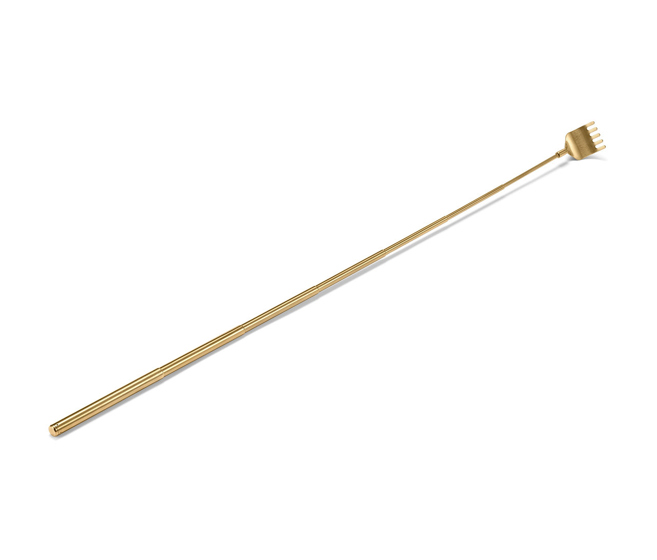 Altın sırt kaşıyıcı.