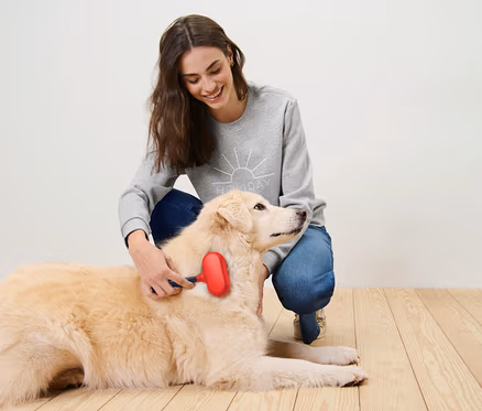 Kadın yerde yatan köpeği kırmızı bir fırçayla fırçalıyor.