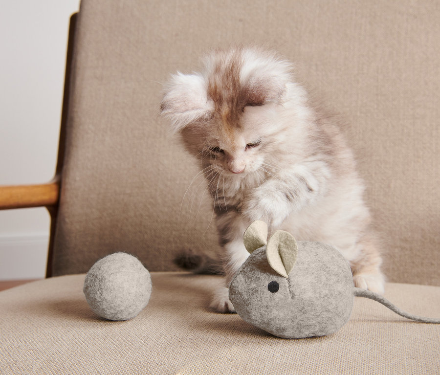 Bir kedi yavrusu, Kedi Oyuncağı Seti'nden gri peluş bir fare ve gri yün bir topla oynuyor.