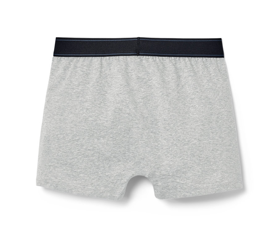 Tek renk, gri slip boxer detayı, 2 adet.