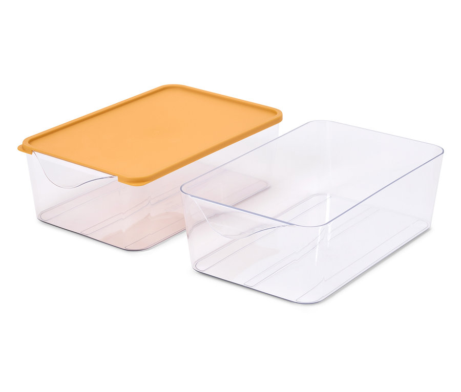 İki şeffaf saklama kutusu, birinin turuncu kapağı var.