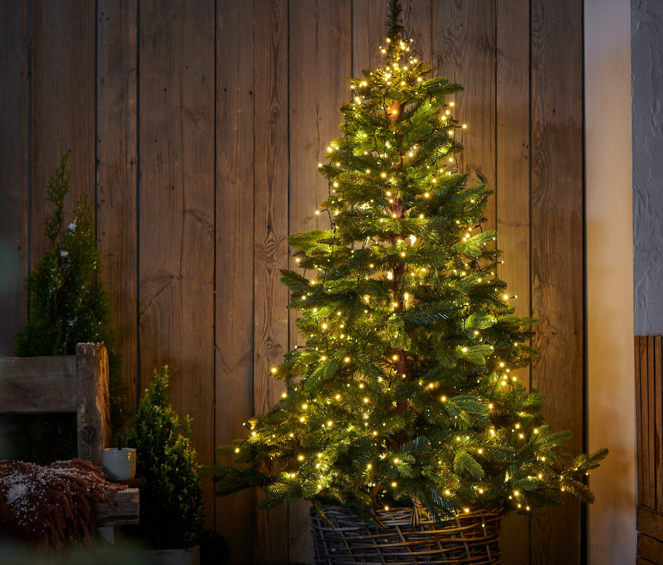 Ahşap bir duvarın önünde, hasır bir sepette LED Yılbaşı Ağacı Örtüsü ile süslenmiş bir Noel ağacı duruyor.