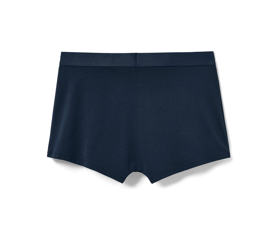 Tek bir mavi 4 Adet Slip Boxer'ın arka tarafının yakın çekimi.