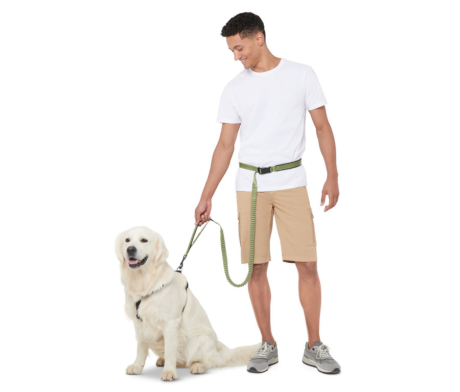 Adam, golden retriever otururken uzunluğu ayarlanabilir bir köpek tasması tutuyor.