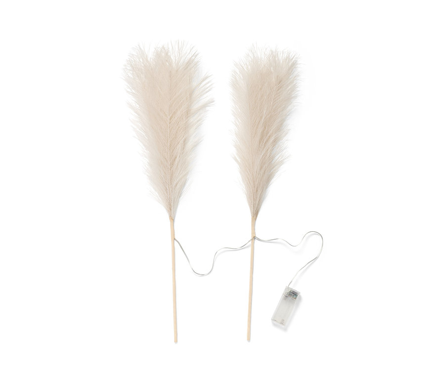 Beyaz bir arka plan üzerinde duran iki adet LED Dekoratif Dal »Pampas Otu«.
