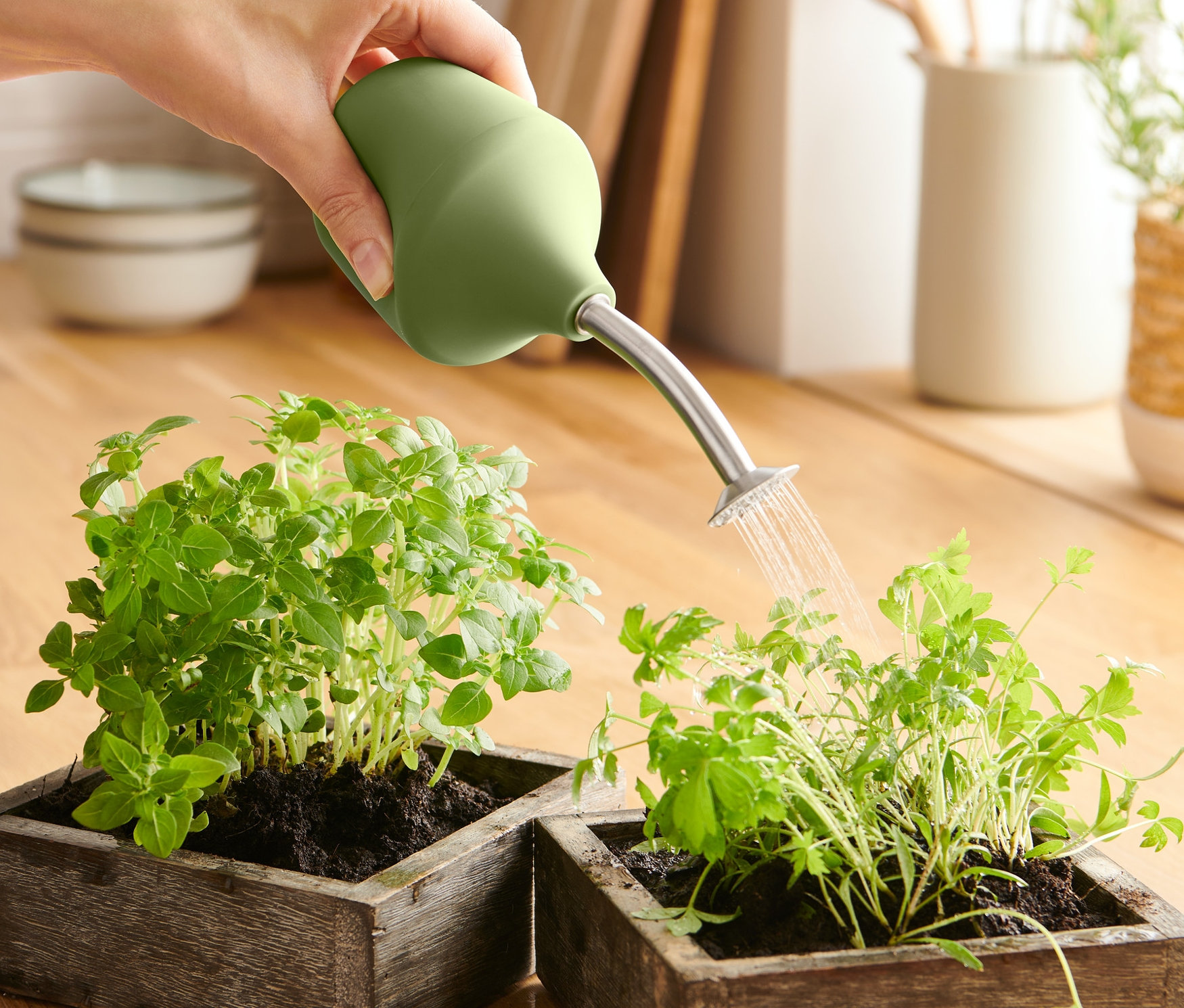 El, ahşap saksılardaki iki bitkiyi Bahçe Sulama Kabı ile suluyor.