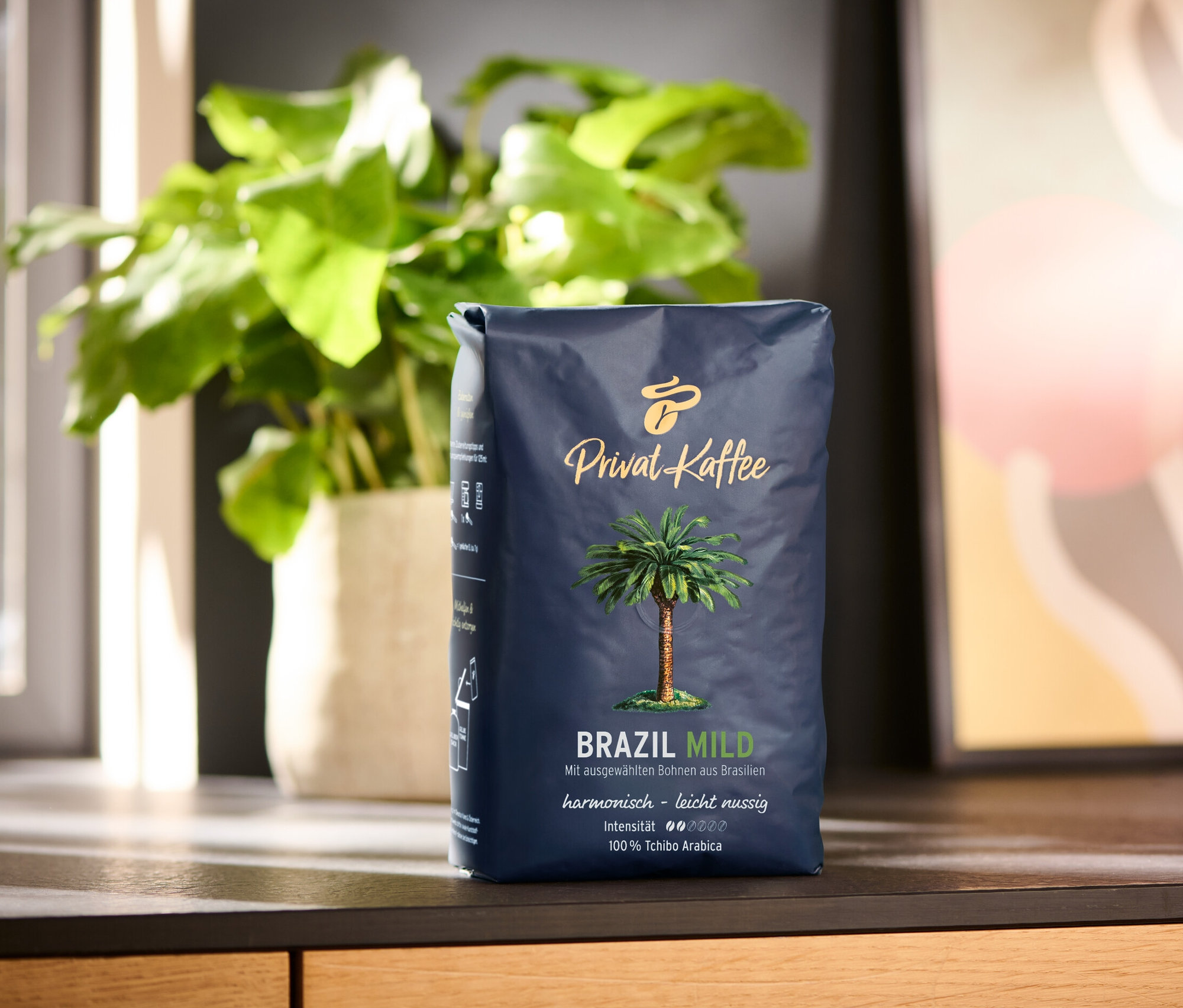 Tahta bir yüzeyde duran 500g'lık Privat Kaffee Brazil Mild çekirdek kahve paketi. Arka planda saksıda bir bitki ve soyut bir tablo bulunuyor.